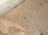 Frass from Carpenter Ants